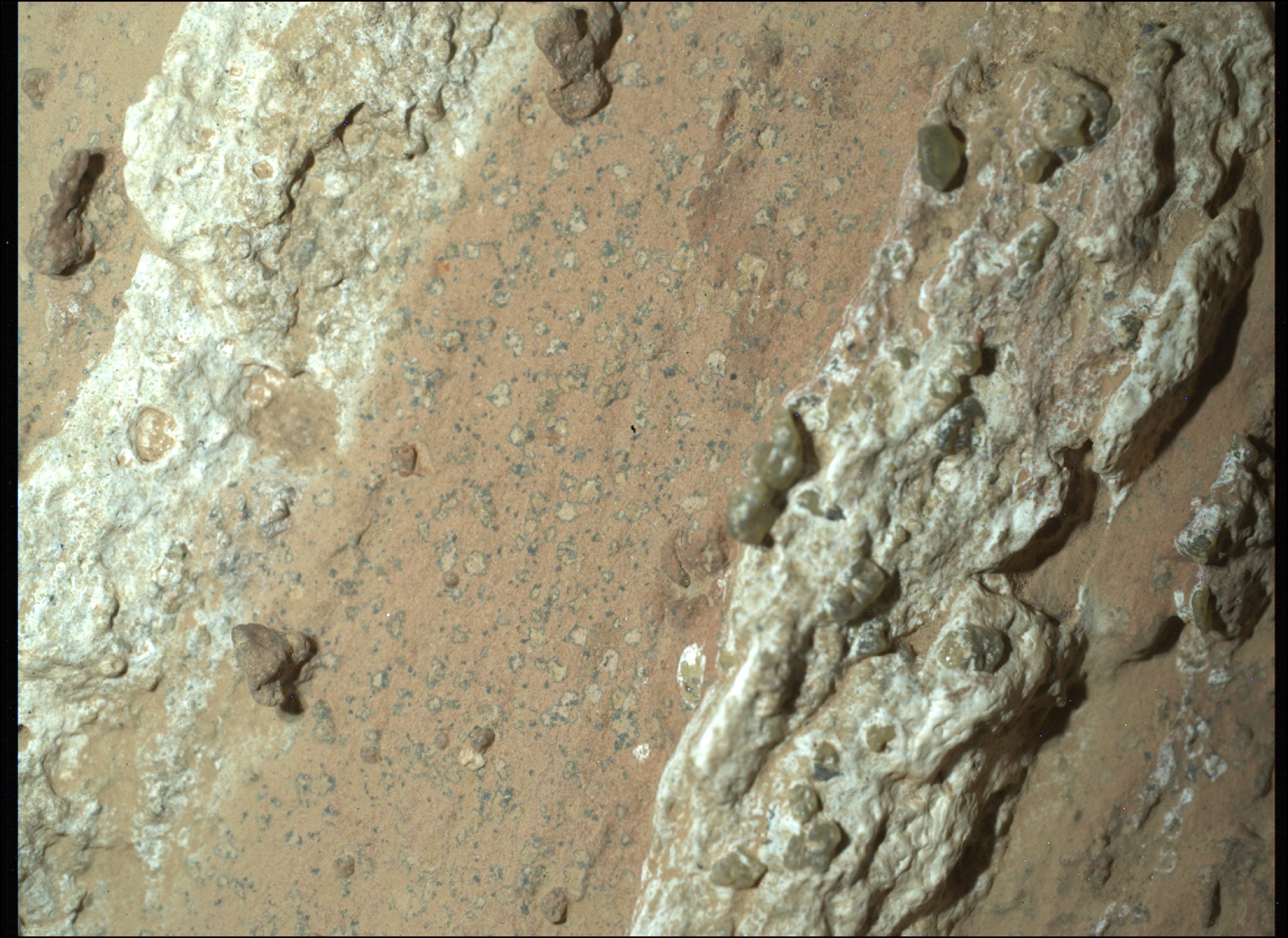 Close-up NASA image of the Cheyava Falls rock on Mars showing pale veins and small leopard-spot markings.