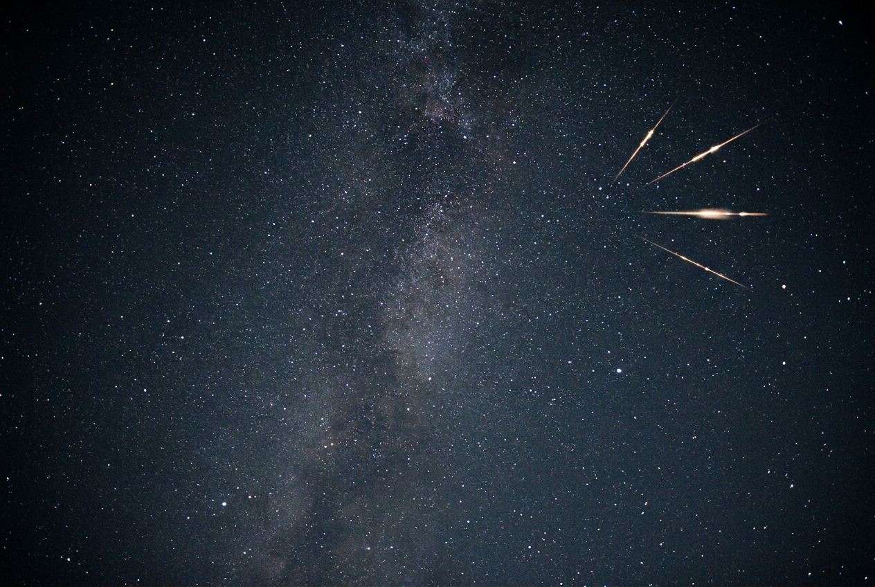 Long-exposure astrophotograph of the Perseid meteor radiant: multiple short meteor streaks appear to fan out from a single point in a star-filled night sky, with the Milky Way faintly visible in the background.